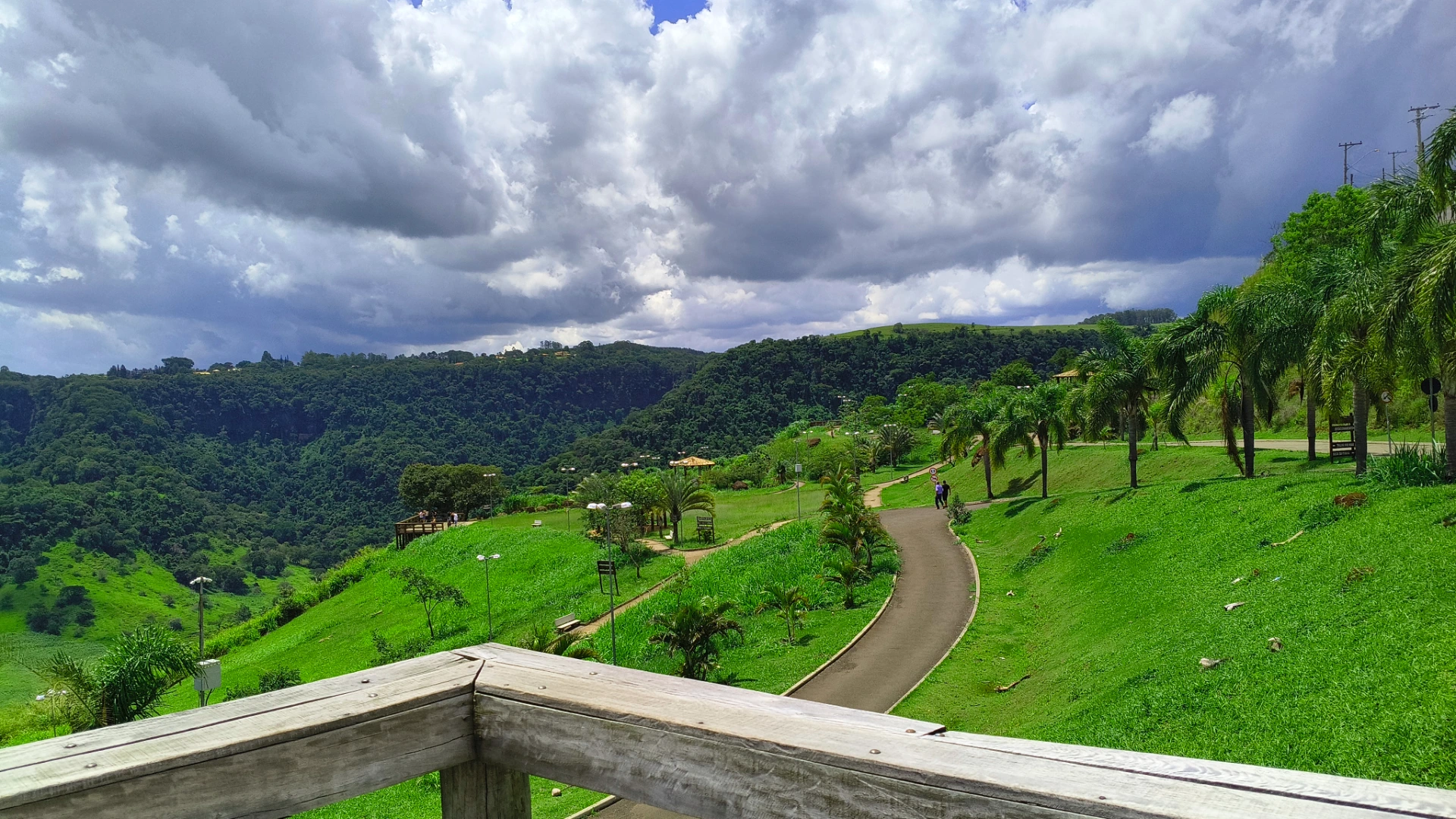 Vista do mirante da Serra de São Pedro com estrada sinuosa, palmeiras e gramado verde