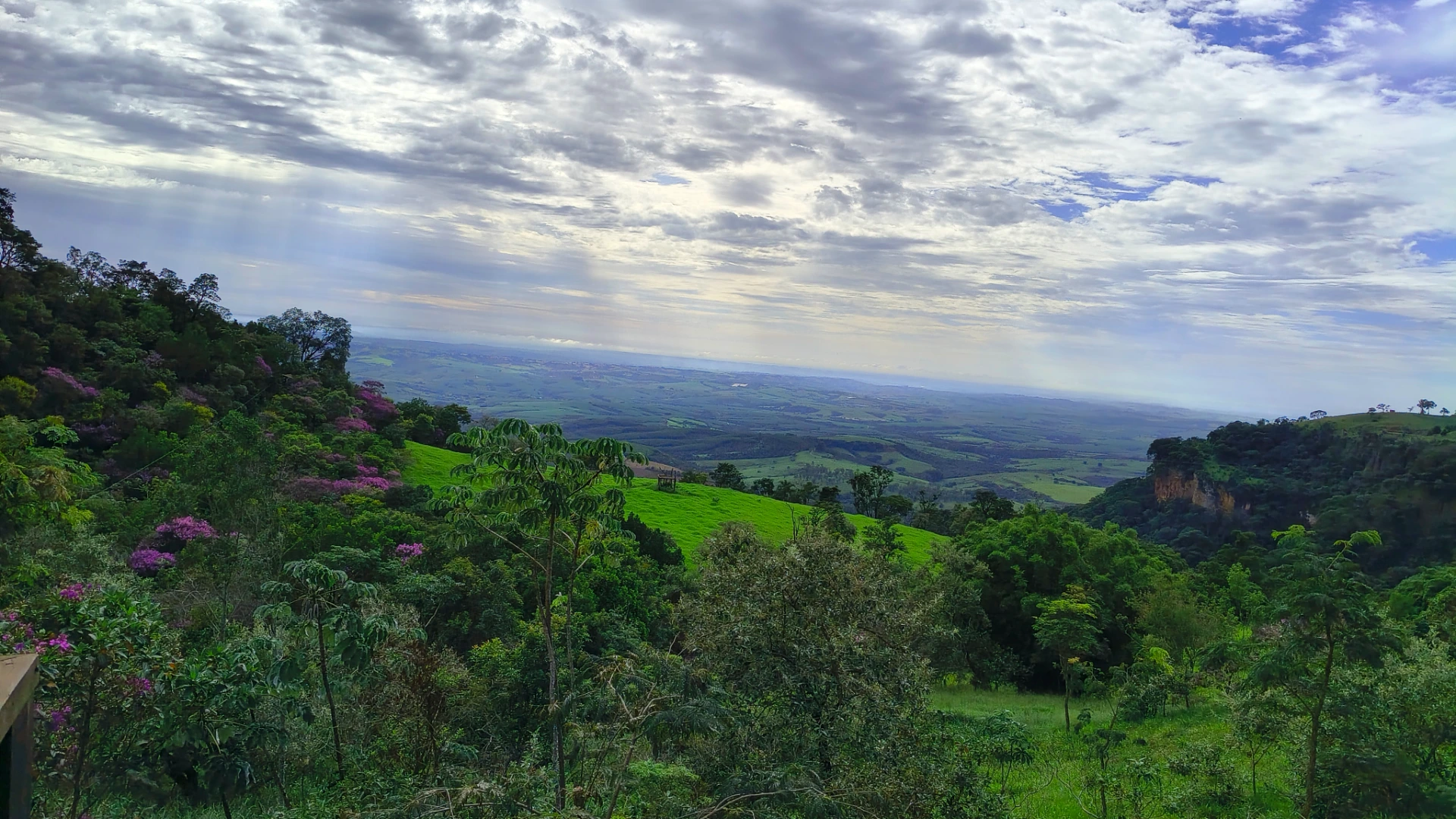 Vista panorâmica da Serra de São Pedro em dia nublado, com ipês roxos floridos e paredões de rocha ao longe